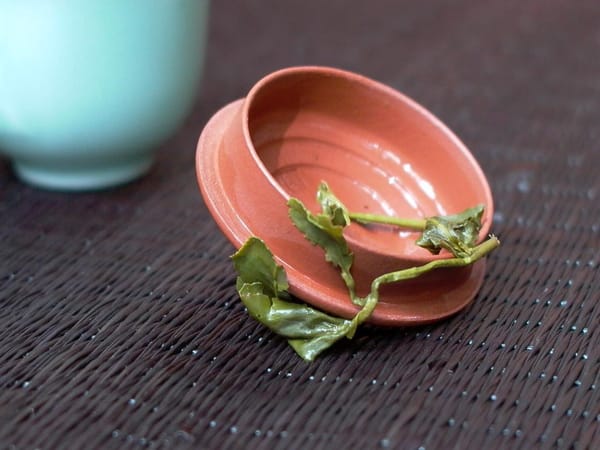 Oolong Tea’s Health Benefits Revealed: The Wellness Secrets of Catechins and Polyphenols