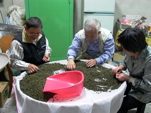 Oolong Tea EQ Test