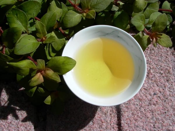 The Evolution of Oolong Tea Aroma