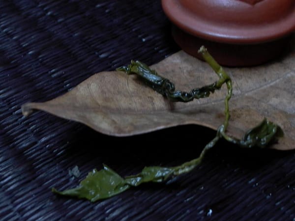 The Golden Era of Dong Ding Oolong Tea